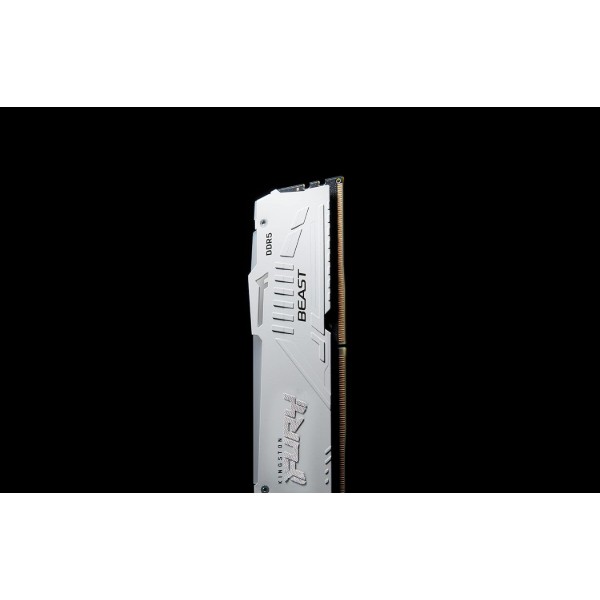 Фото - Память DDR Kingston DDR5 16GB 6000 FURY Beast GB EXPO (KF560C36BWE2A-16)